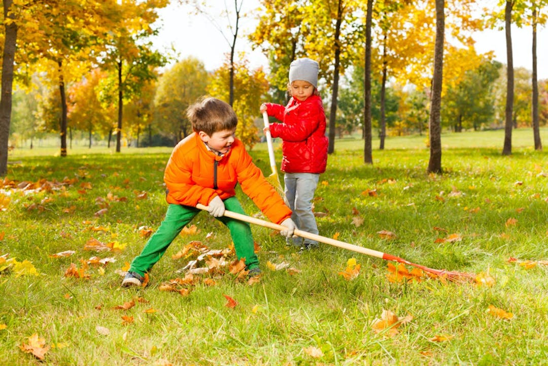 A couple of kids raking leaves.